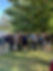 1725730028106.jpeg